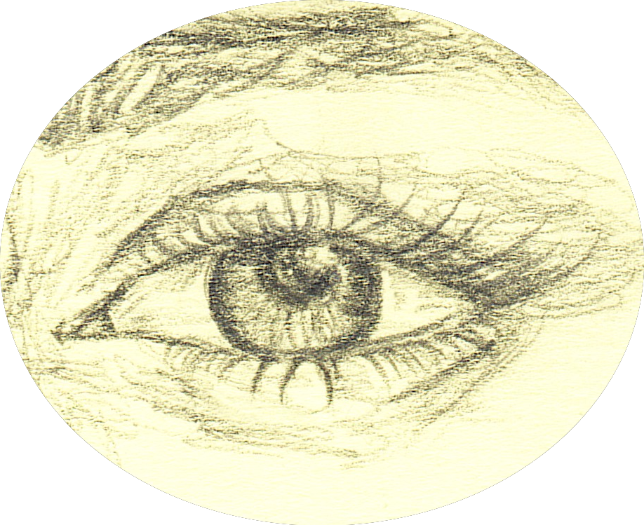 Una Mirada al Firmamento